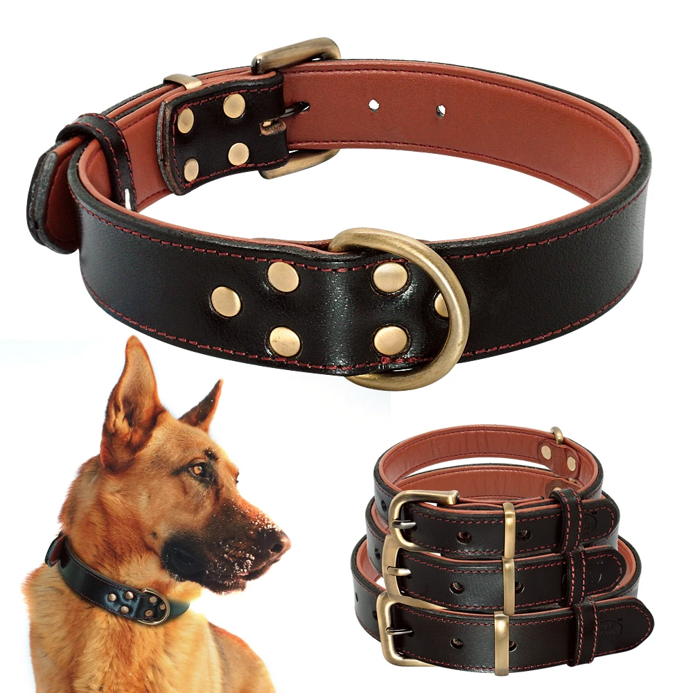 Soft Genuine Leather Dog Collar Padded Pet Collar For Small Medium soft-genuine-leather-dog-collar-padded-pet-collar-for-small-medium
