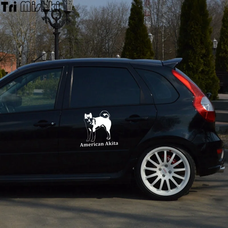 lada kalina (8)_