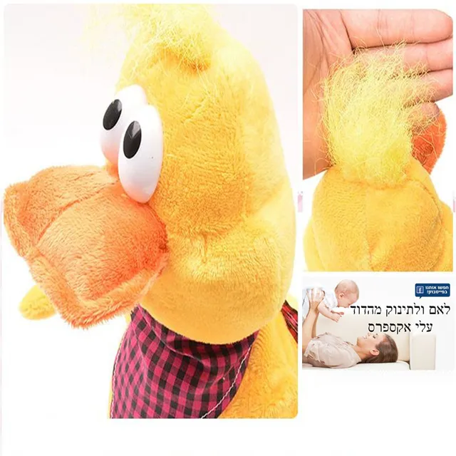 Funny Crazy Dancing Singing Doll Cock Duck Frog Electric Chicken Musical Plush Toy Lovely Rooster Noisy Toys for Children 5