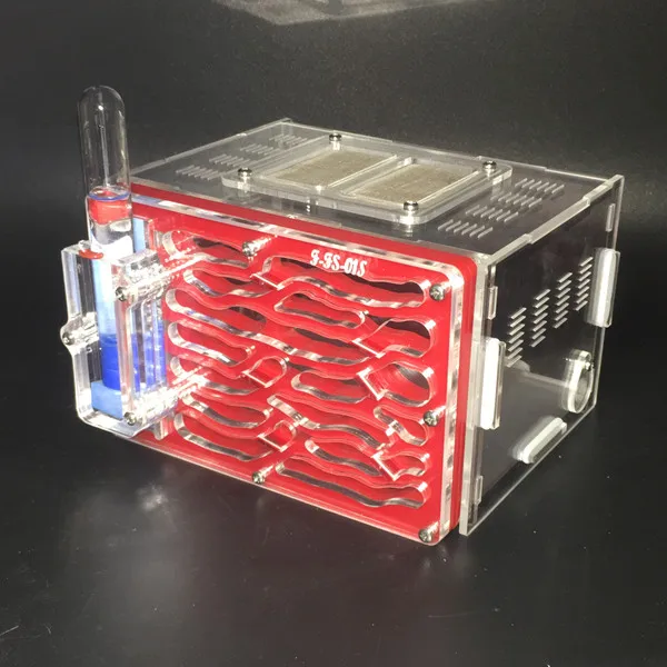 Ant-city-fs-01 (1)