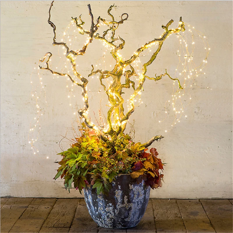 string lights plants