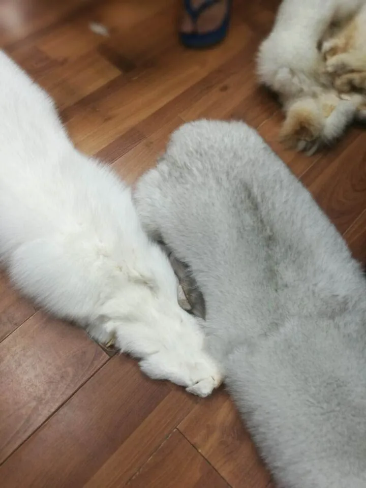 QQ20180407104926