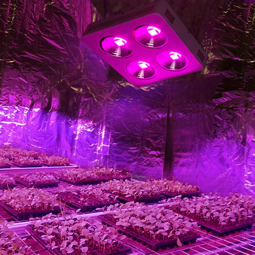 

G05 Full Spectrum 800w Led Grow Light 4 holes COB all in one chips with 90 Degree Reflector Cup for Medical Veg&Flower Planting