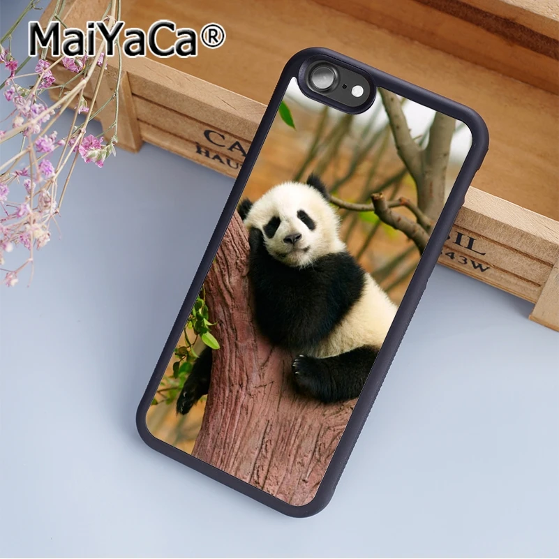 Case study analysis of panda bear image