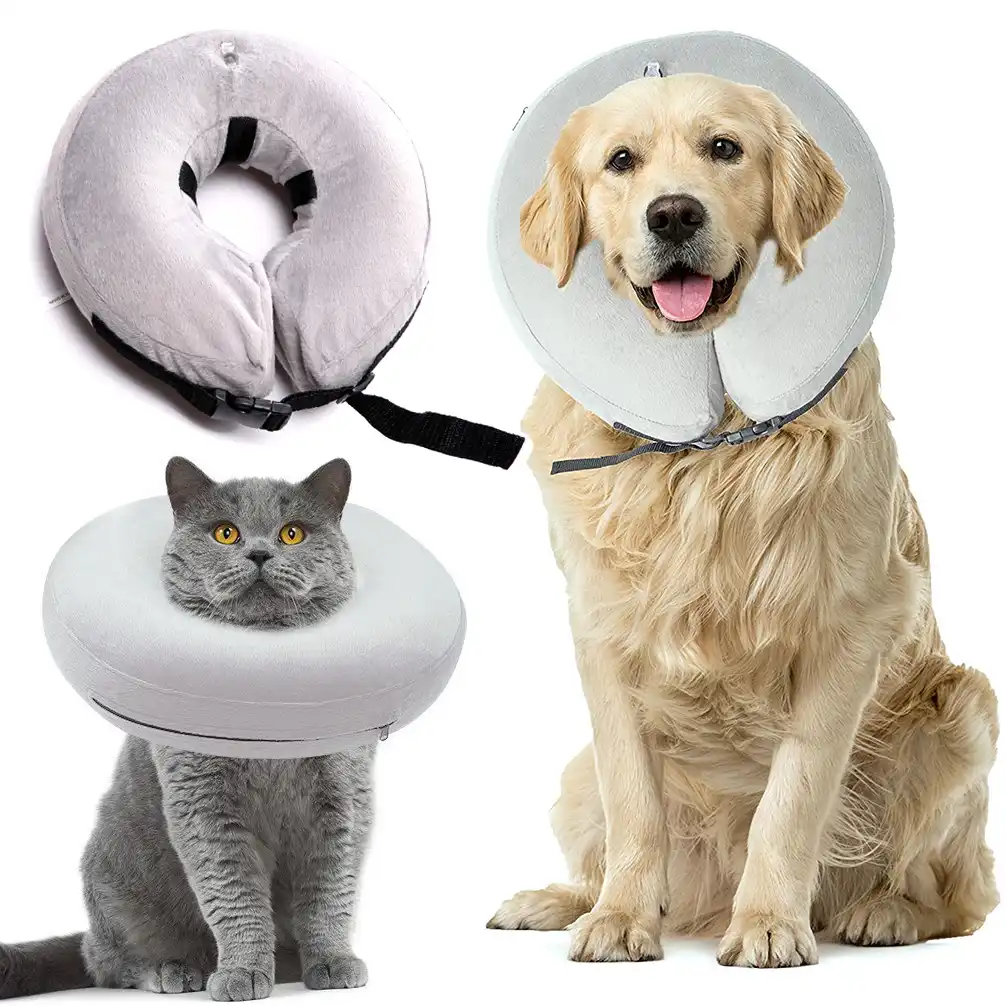cheap e collars for dogs