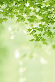 

LIFE MAGIC BOX Green Leaves 150x200cm Custom Photo Backdrops Digital Photo Backgrounds N10740