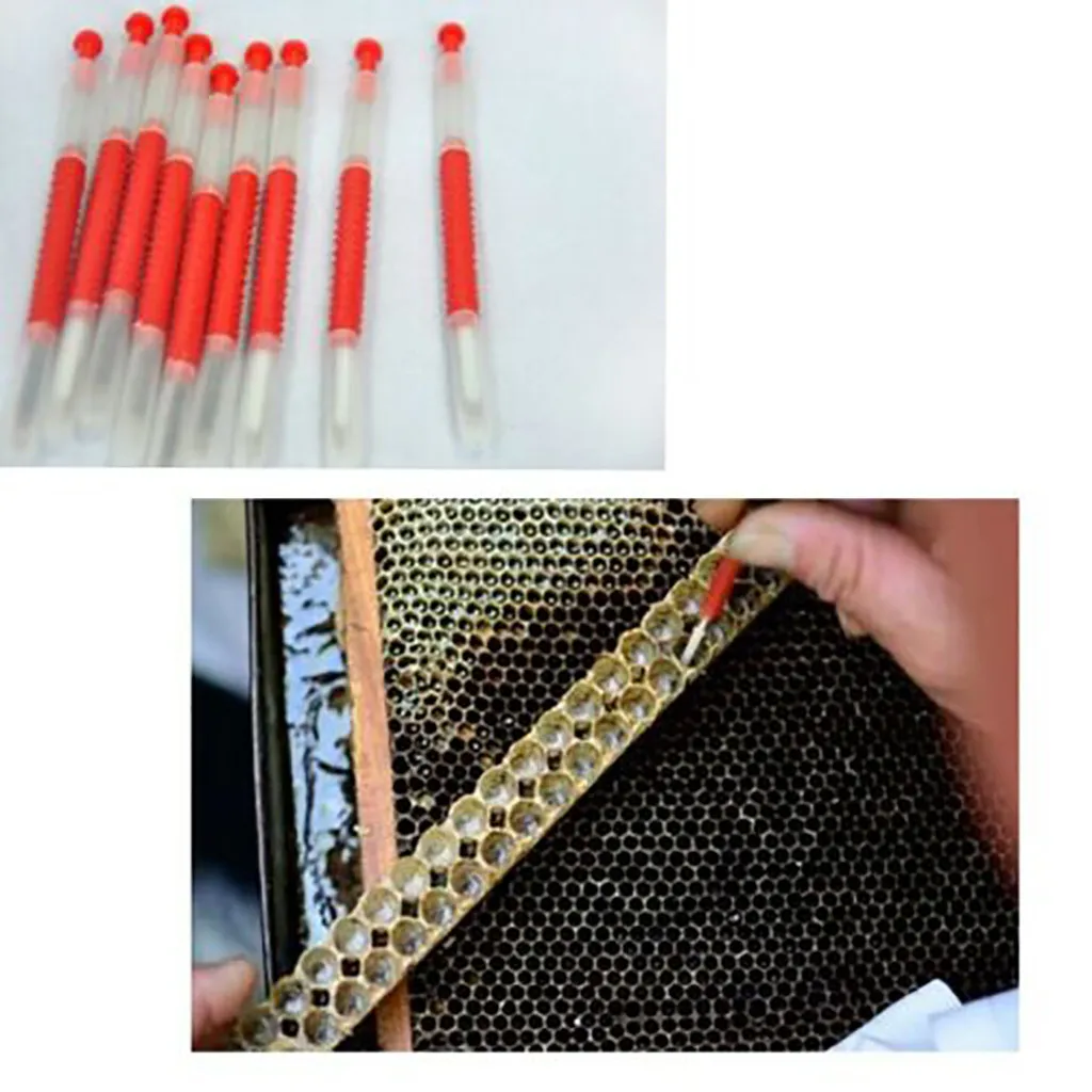 Инструменты для пчеловодства выдвижной тип иглы для пчеловодства