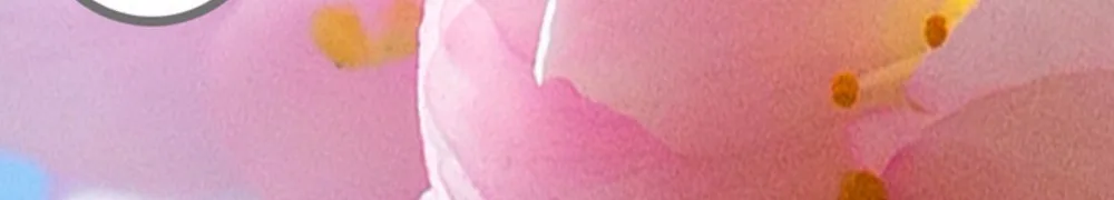 2017-09-16_181438_conew5