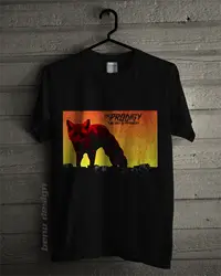 THE Prodigy DAY IS MY футболка с надписью «Enemy» летние Рубашка с короткими рукавами модная футболка Бесплатная доставка 2019 Новое поступление Для