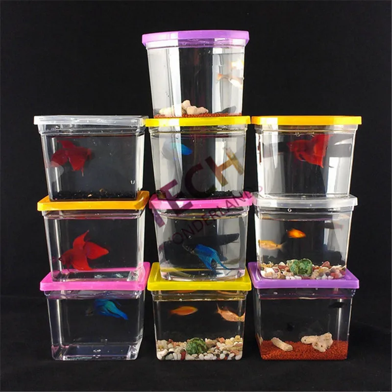 betta fish tanks for sale