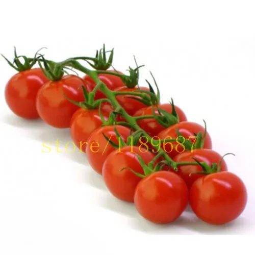 

1bag=200 pcs Tomato Tree Delicious Fruits Vegetables Plant Organic Heirloom plants NO-GMO free shipping for home garden