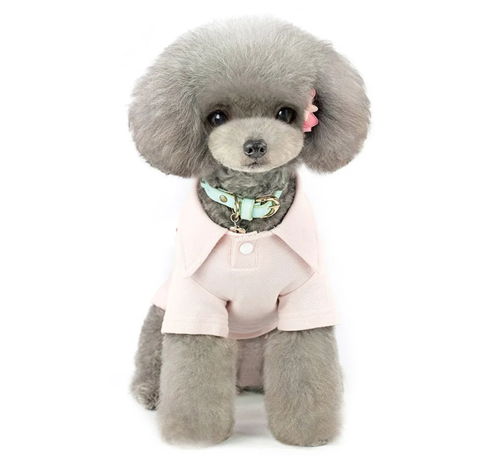dog summer cloth