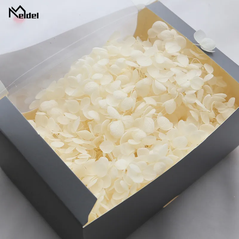 20g Preserved Hydrangea Flowers Box Natural Dried Flowers For Home Decor Artificial Flower High Quality DIY Gifts Anna Hydrangea