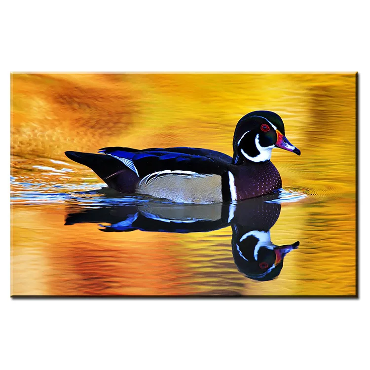 colored duck canvas