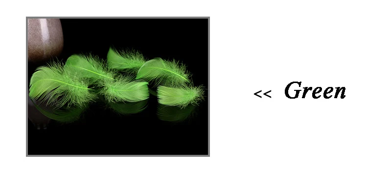 3255510557_1022353483