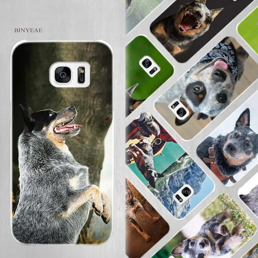 BINYEAE Australian Cattle Dog art Hard White Case Cover