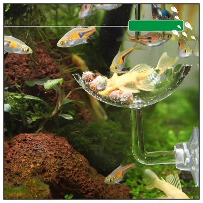 Прозрачный рыбы кормушка с резервуаром аквариум креветки акриловые кормление чаша плавающей ясно с присоской акриловый аквариум