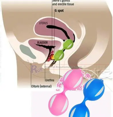 men sucking penis