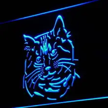 I987 Пикси Боб Cat Китти магазин Pet Декор свет знак на/выключения 20+ Цвета 5 размеров