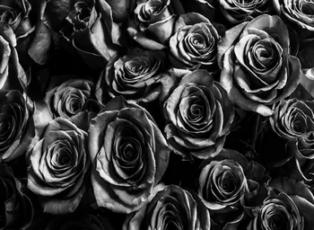 

dark black roses flowers backdrop photo Vinyl cloth High quality Computer printed wedding Backgrounds for sale