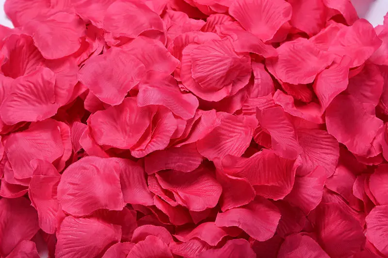 2382-03-10pcs-rose red-