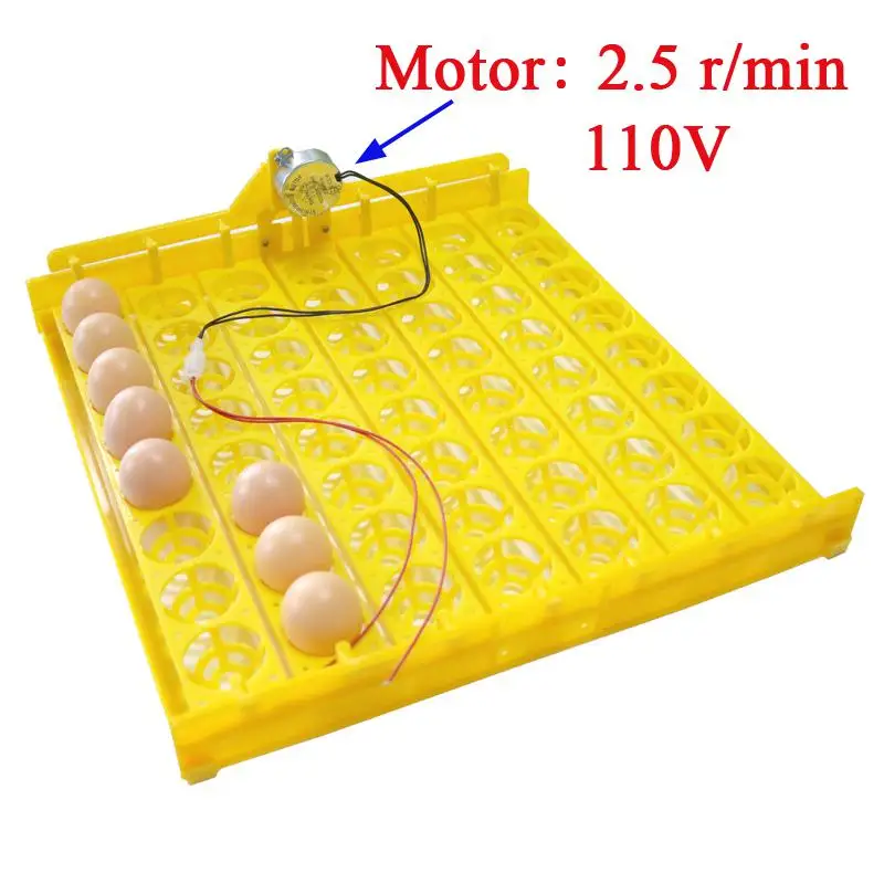 110V