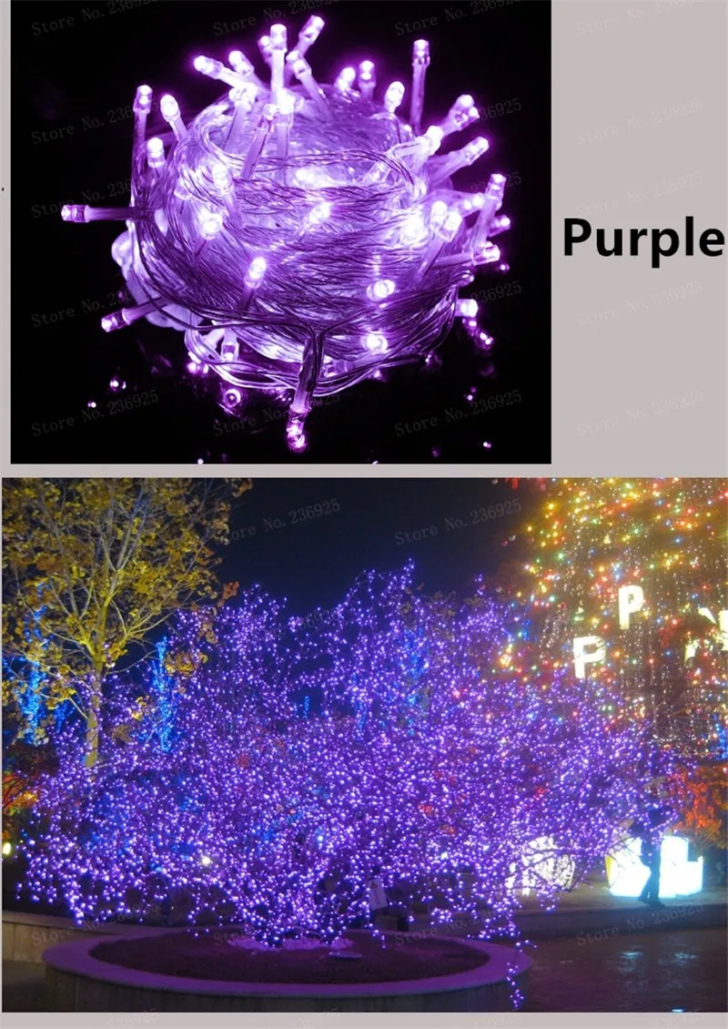  (2)