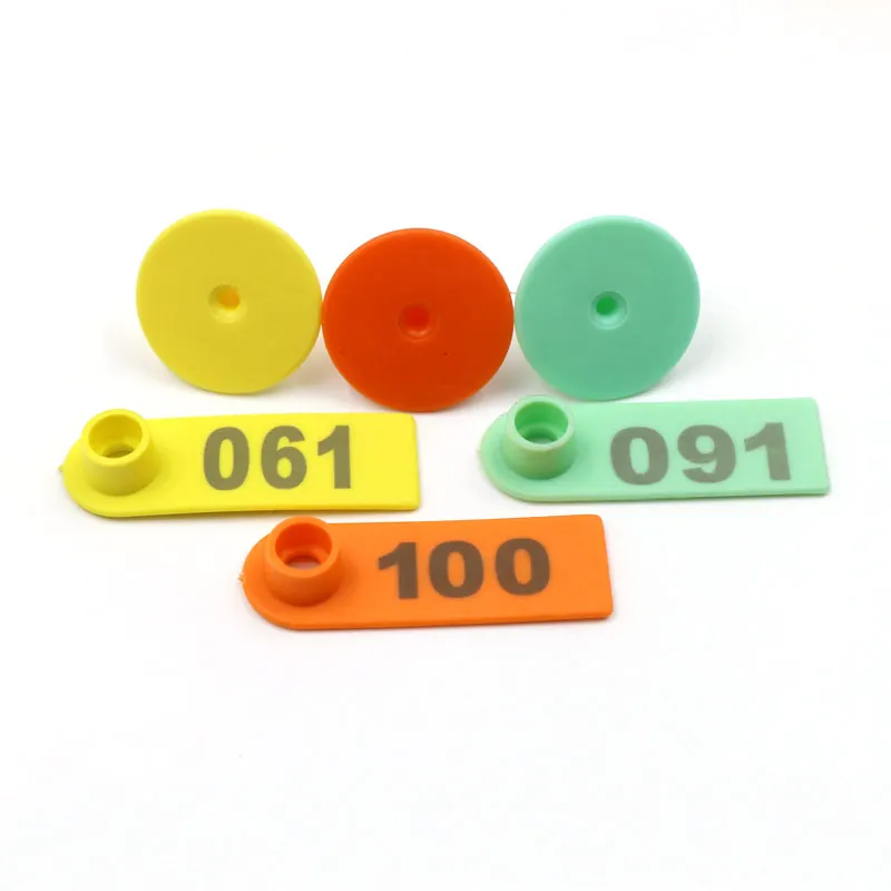 20