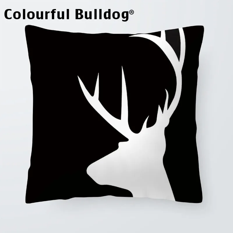 CX0992 (20)