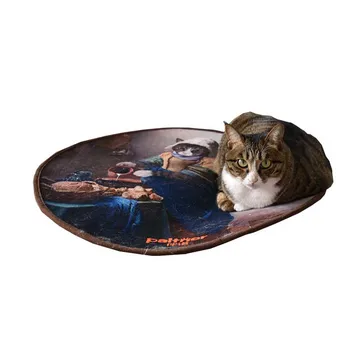 

Pet Sleep Mats Pads Dog Cat Beds Mat Pad Placemat for Small Dogs Cats Pet Travel Pad Mat Velvet Warm Mat DA