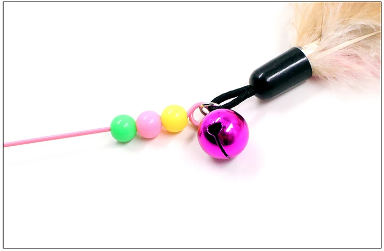 4564137428_1041227635