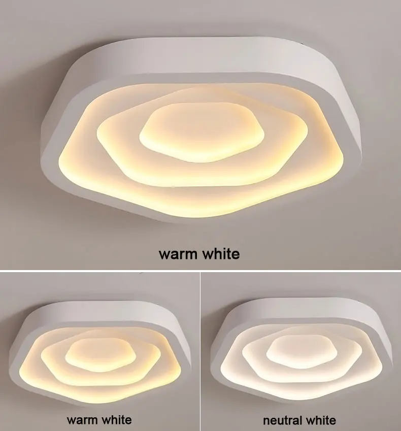 Ceiling lamp (10)