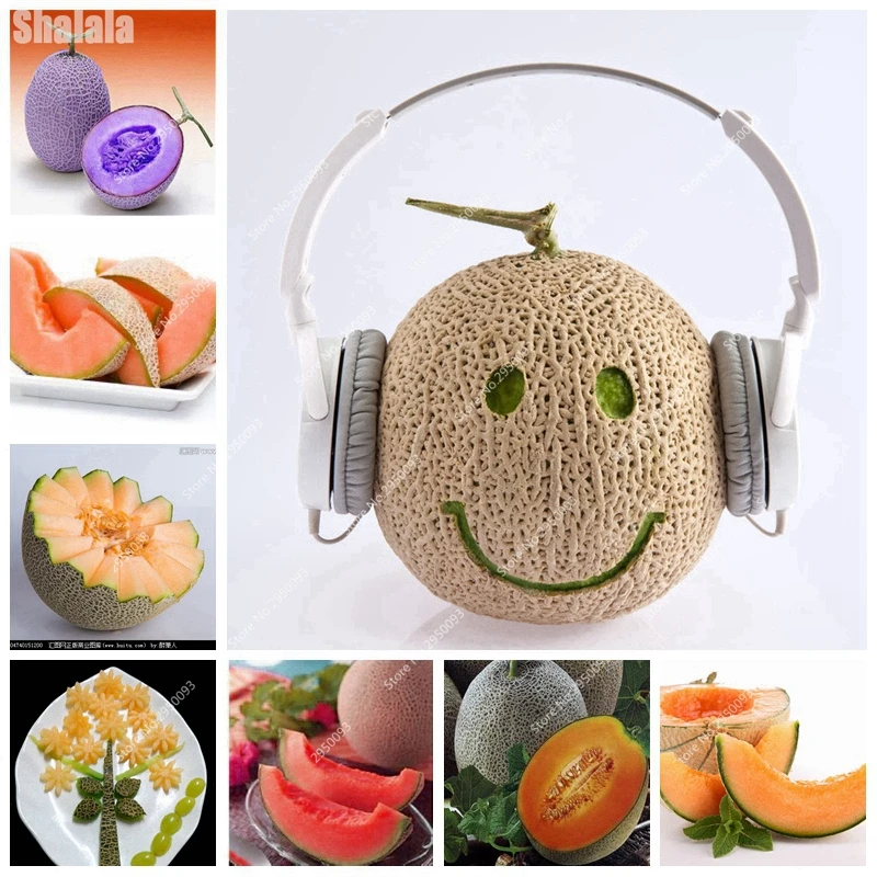 

30 Pcs/ Bag Sweet Cantaloupe Bonsai Fruit Taste Nutritious Hami Melon DIY Home Garden Plants Edible Fruit Easy To Grow