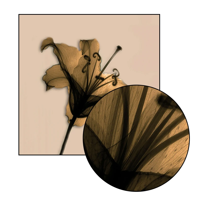301