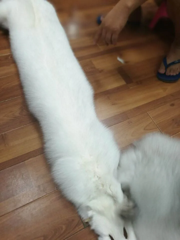 QQ20180407104929