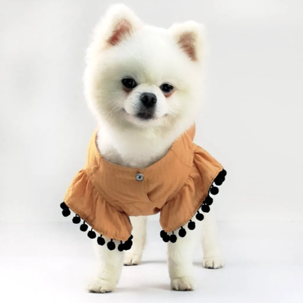 Одежда для собак. Одежда для шпица девочки. Zeppelin комбинезон для шпица. Rungo дождевик для собак шпиц. Одежда для собак.
