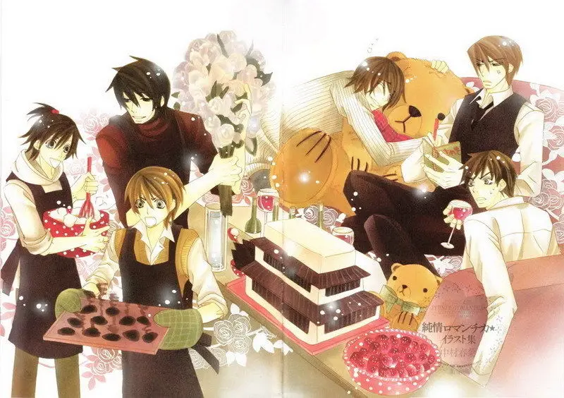 DM02794 Junjou Romantica-постер японской манги Yaoi 20x14 дюймов | Дом и сад