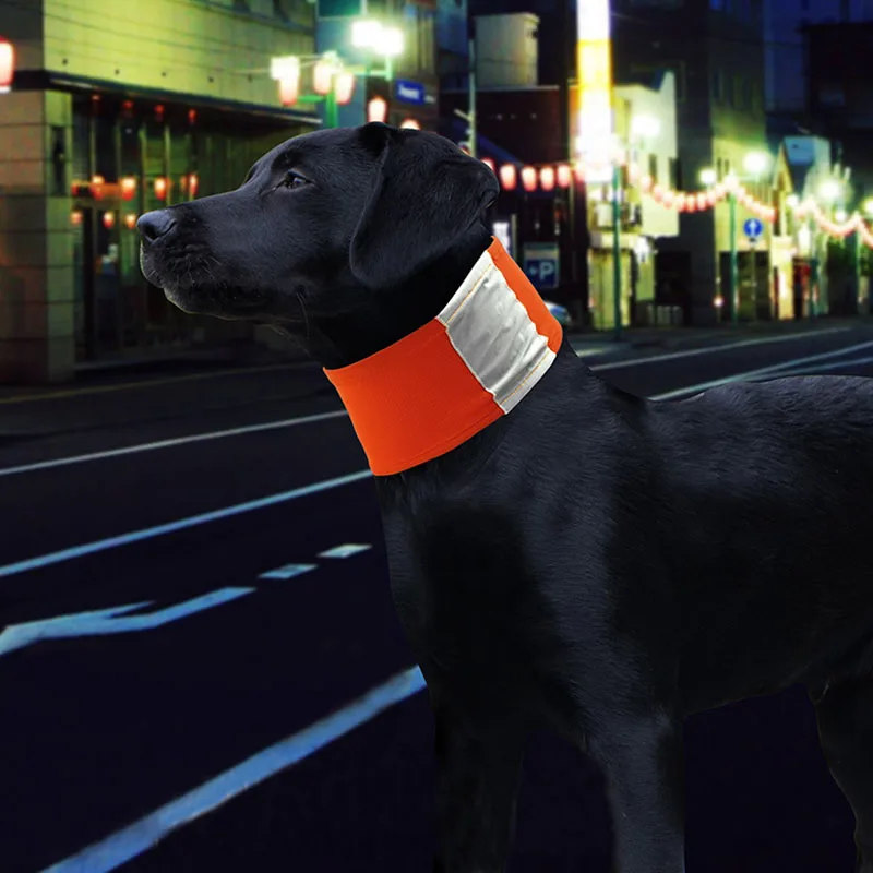 Dog Fluorescence Scarfs