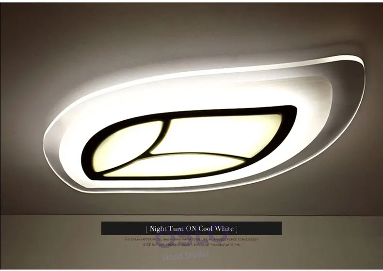 leaf-ceiling-light-_10