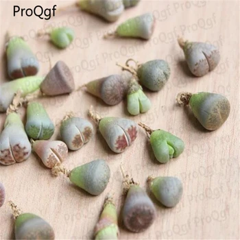 

Ngryise 25Pcs A Set hot