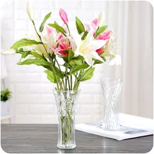 Прозрачная стеклянная ваза офисный Декор креативная гидропонная бутылка домашнее украшение микро-пейзаж ваза