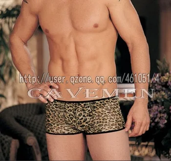 Hipster Leopard* 2194*sexy men lingerie T-Back G-String Underwear Triangle pants Trousers Suit Jacket boxer free shipping contrast trim hipster boxer briefs