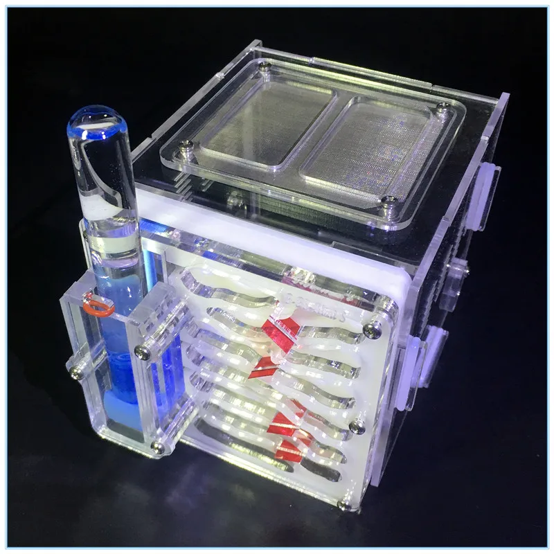 

Mini Ant Nest With Moisture Water Tower And Feeding Area Acrylic Insect Cages Villa Pet Mania For House Ant Ants Farm 6 Colors