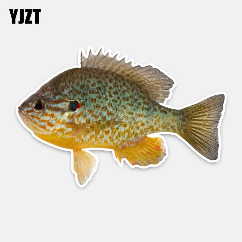 

YJZT 15.3CM*10.2CM For High-definition Grouper Waterproof Decal Car Sticker PVC Accessories 5-0235