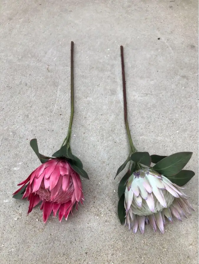 Artificial white proteas Flower, 24PCSfloral arrangementsreal touch