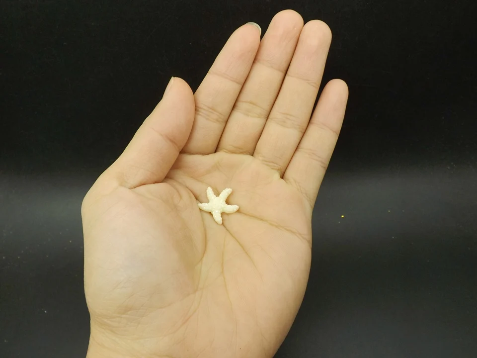 Tiny-A115Starfish (4)
