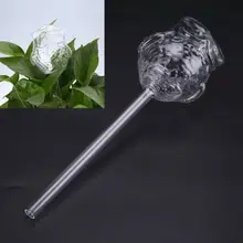 Glass Plant Flowers Water Feeder Self Watering Bird Design Plant Waterer 2 Types