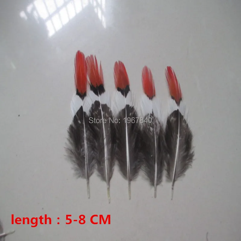5-10cm_