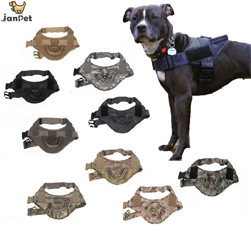 Service Dog Id Collars Service Dog Id Collars