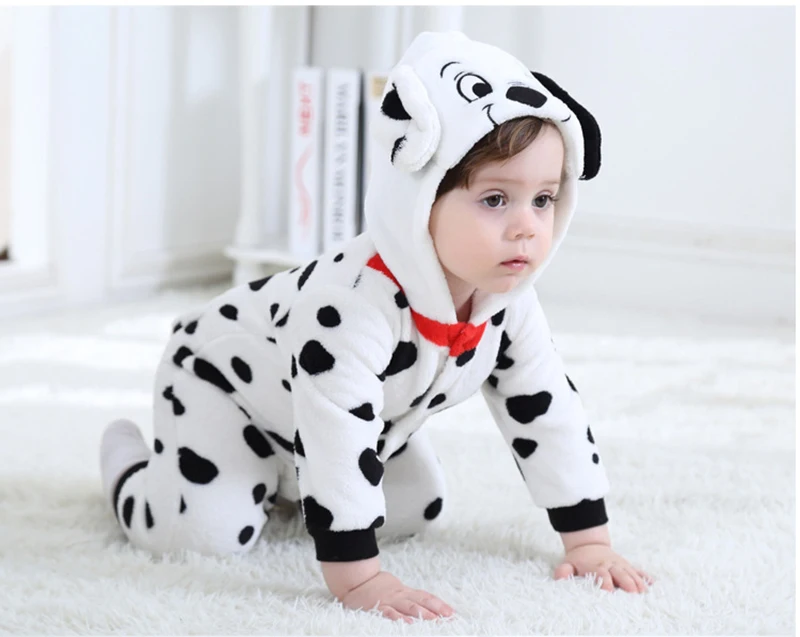 8629181260_232086180